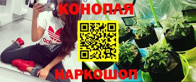 марихуана Краснодар