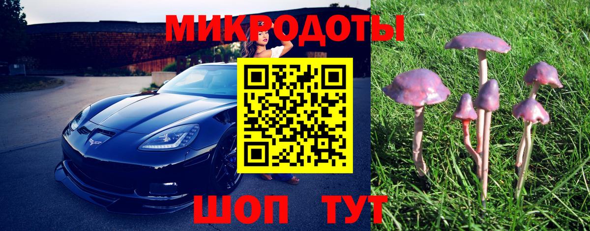 Псилоцибиновые грибы Magic Shrooms Ирбит