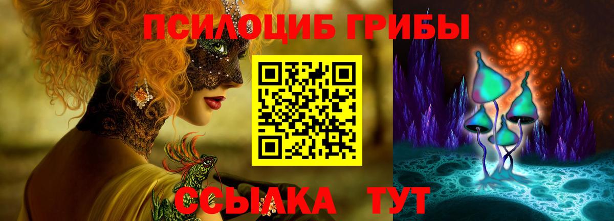 Ирбит  Псилоцибиновые грибы MAGIC MUSHROOMS  Псилоцибиновые грибы Psilocybine cubensis  Вход с VPN 